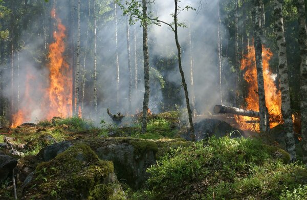 Perspėjimas apie pavojingą meteorologinį reiškinį – gaisringumą