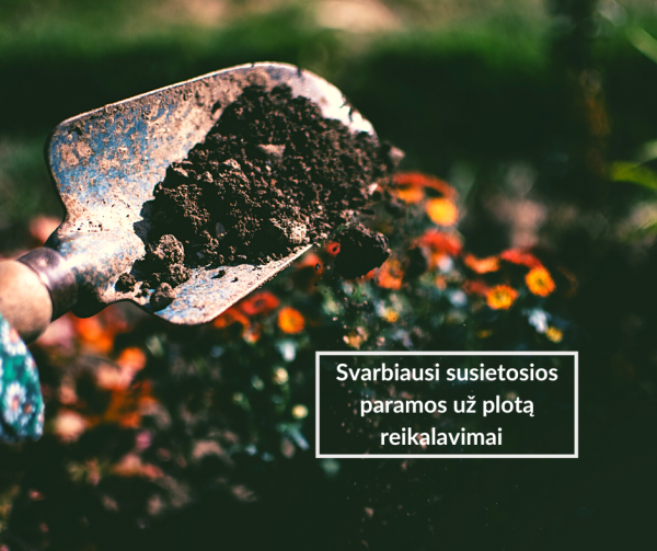 Svarbiausi susietosios paramos už plotą reikalavimai  